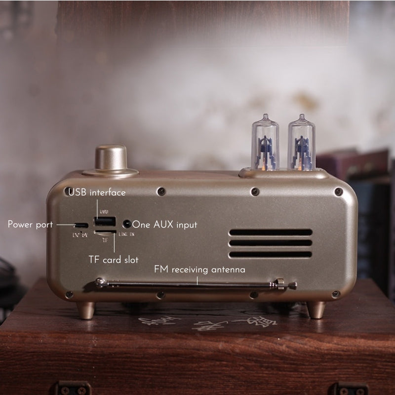 Aether Bluetooth Radio Speaker