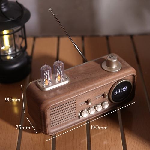 Aether Bluetooth Radio Speaker