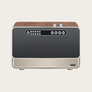 Walnut Tone Theater Bluetooth Speaker