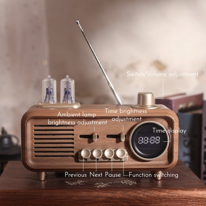Aether Bluetooth Radio Speaker