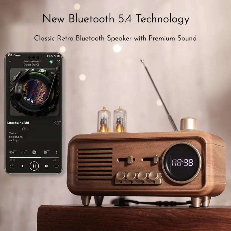 Aether Bluetooth Radio Speaker