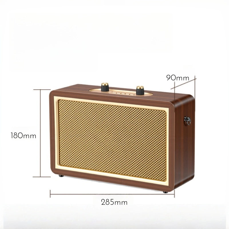 Walnut-Toned Retro Karaoke Bluetooth Speaker