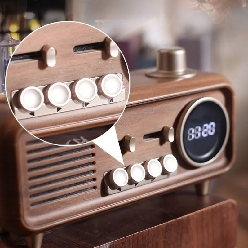 Aether Bluetooth Radio Speaker